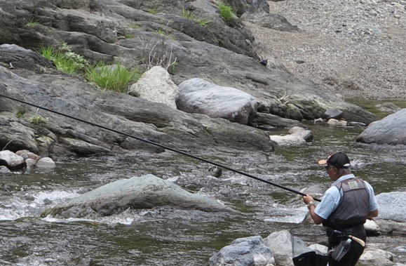 20140620-123845-88924200.jpg (120x79)
