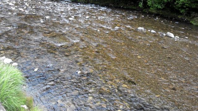 20140628-202024-50335800.jpg (120x68)