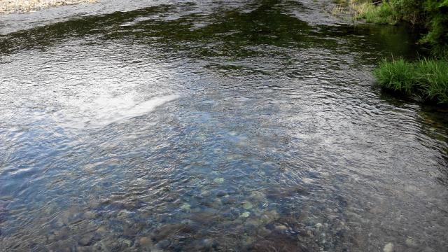 20140706-185814-30890900.jpg (120x68)