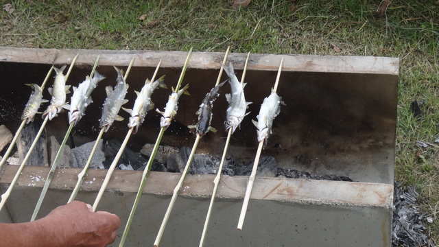 20140718-171646-39684300.jpg (120x68)