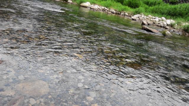 20140719-192020-76942400.jpg (120x68)
