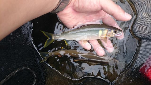 20140721-004733-46795100.jpg (120x68)