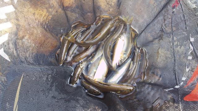 20140729-165249-51996100.jpg (120x68)