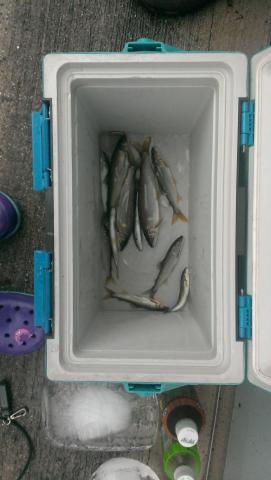 20140802-213736-39258500.jpg (51x90)