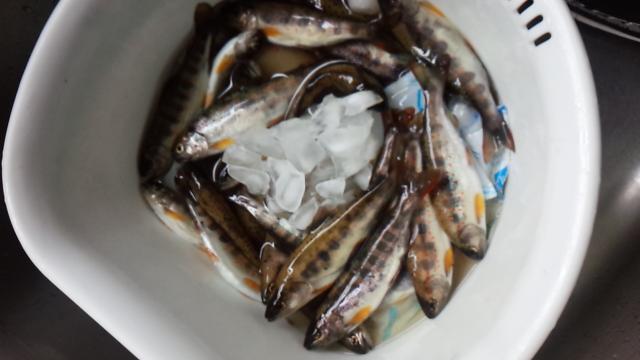 20150307-152826-11647800.jpg (120x68)