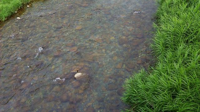 20150711-211115-50144000.jpg (120x68)