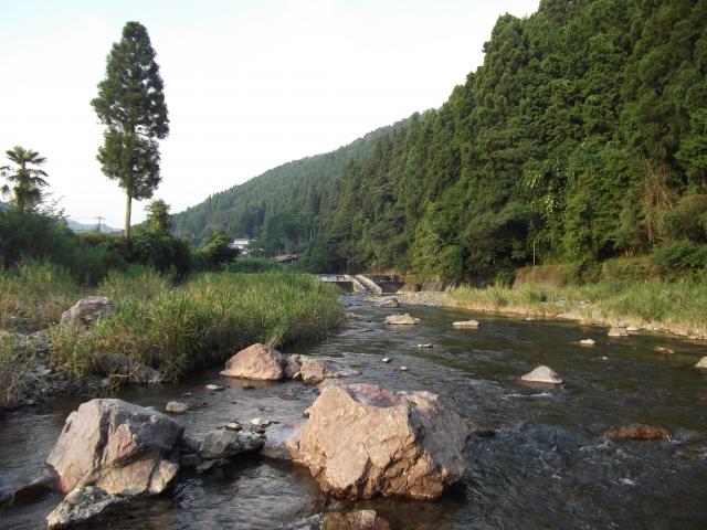 20150731-053621-73130300.jpg (120x90)