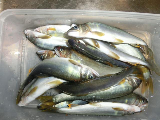 20150808-085014-19662800.jpg (120x90)