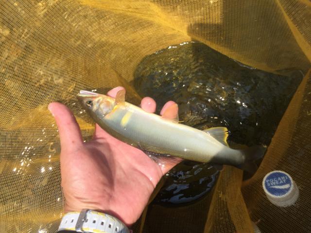 20150808-164551-31922700.jpg (120x90)