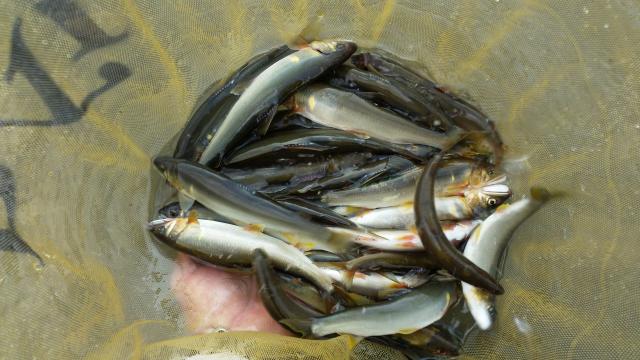 20150808-183219-77909200.jpg (120x68)