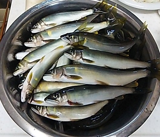 20150808-223331-24794400.jpg (120x103)