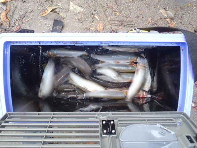 20150808-235637-41748500.jpg (120x90)