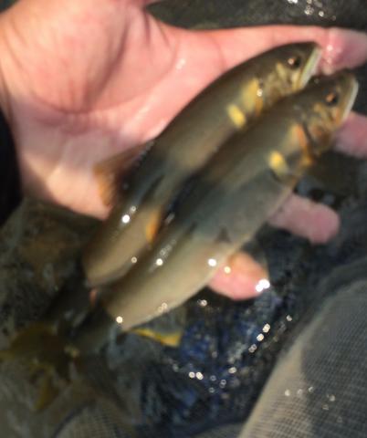 20150809-135828-20902500.jpg (76x90)