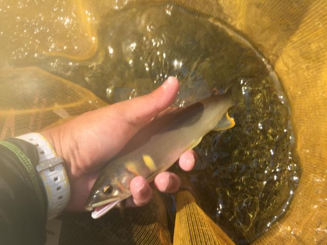 20150809-173646-39618300.jpg (120x90)