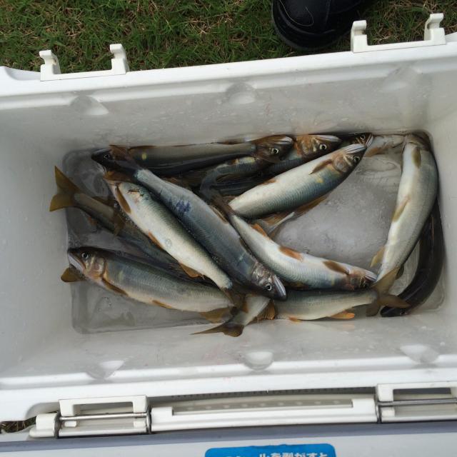 20150918-080112-97466300.jpg (90x90)