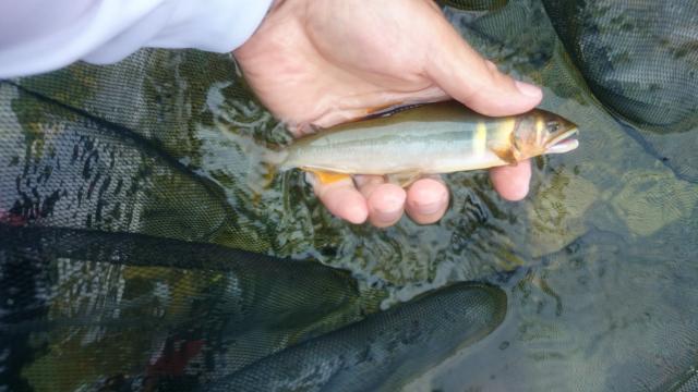 20150923-011101-02730500.jpg (120x68)