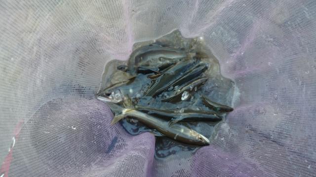 20150923-183612-42658900.jpg (120x68)