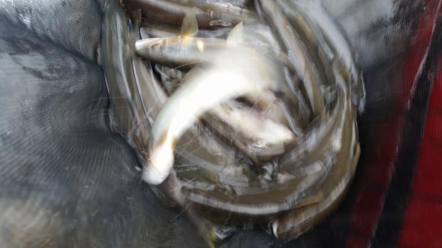 20150926-164622-89849900.jpg (120x68)