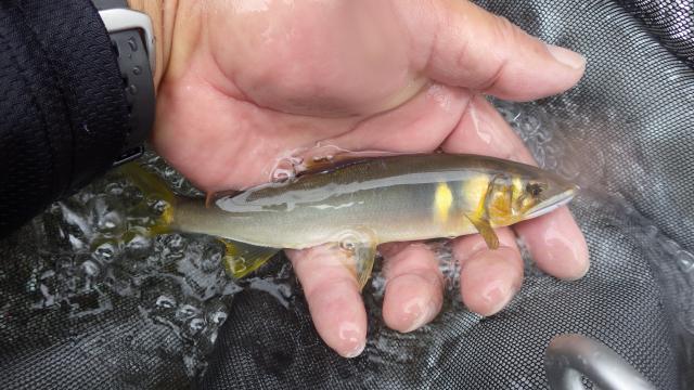 20150930-072335-51058700.jpg (120x68)