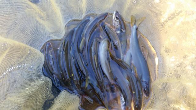 20151003-154610-61064700.jpg (120x68)