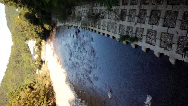 20151004-201105-62849200.jpg (120x69)
