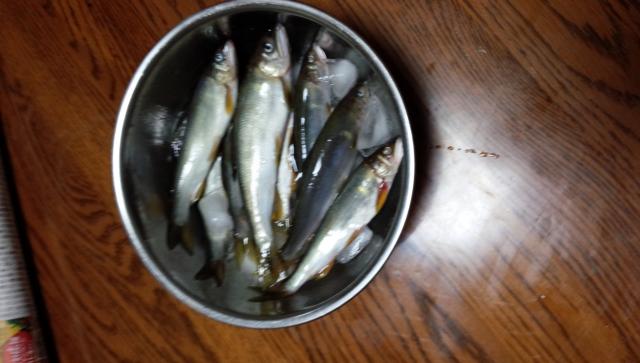 20151005-203320-04376700.jpg (120x69)
