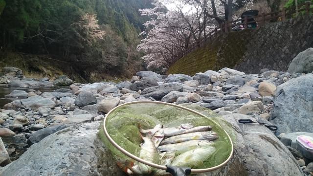 20160402-194519-14669900.jpg (120x68)