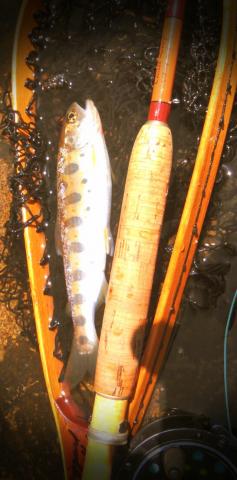 20160502-142241-78452100.jpg (45x90)