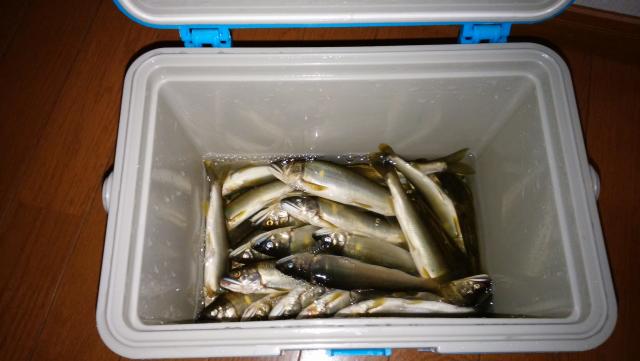 20160507-230822-17176300.jpg (120x68)