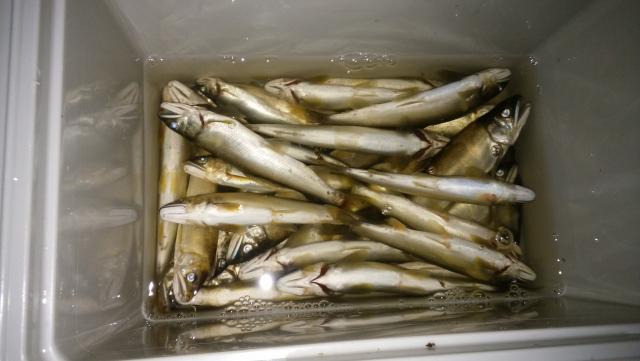 20160521-224711-96853000.jpg (120x68)