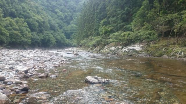 20160601-214859-12995600.jpg (120x68)