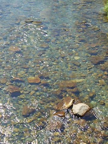 20160605-081921-60435800.jpg (68x90)