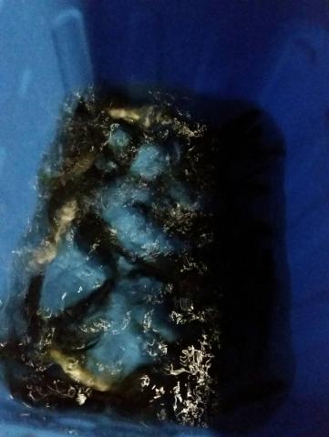 20160611-231246-98177100.jpg (68x90)