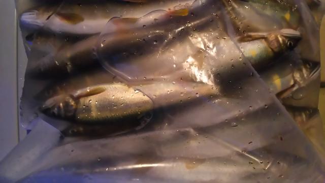 20160615-125459-93968900.jpg (120x68)