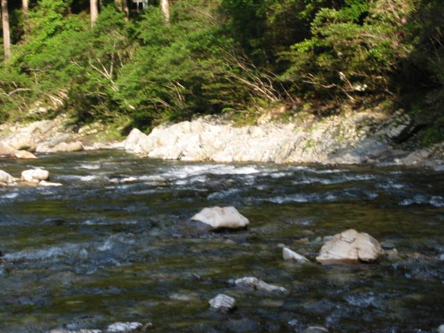 20160615-230722-41009200.jpg (120x90)