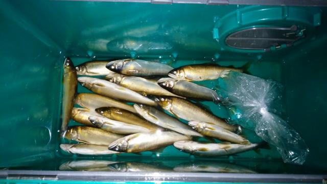 20160618-212049-21715400.jpg (120x68)