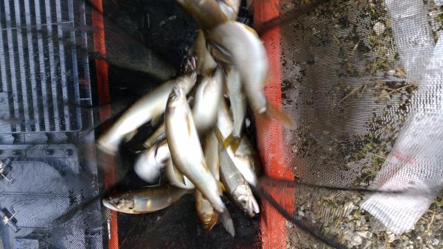 20160620-195459-92317500.jpg (120x68)