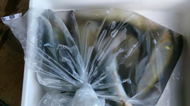 20160703-172133-74367100.jpg (120x68)