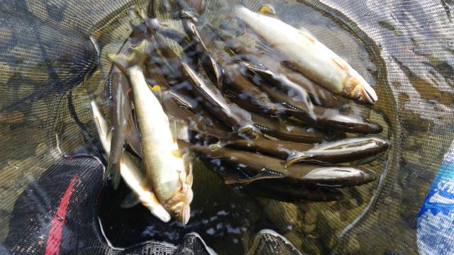 20160707-181916-81979800.jpg (120x68)