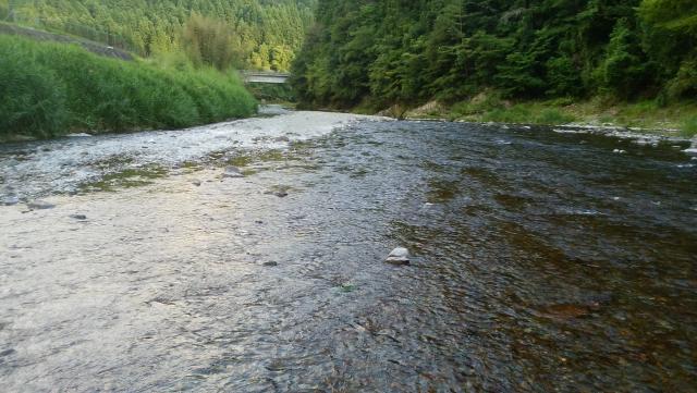 20160724-141657-25368200.jpg (120x68)