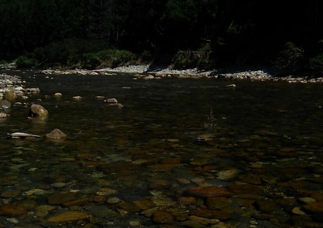 20160730-212347-29099900.jpg (120x85)