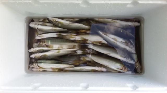 20160807-210732-43599900.jpg (120x68)