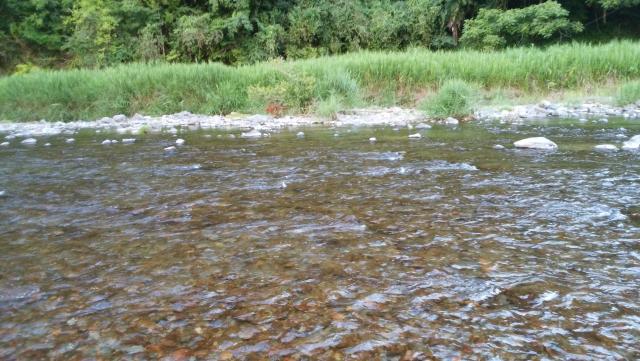 20160808-095641-16345100.jpg (120x68)