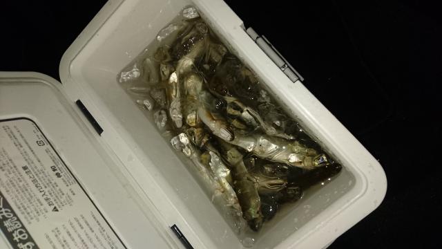 20160809-003150-56796900.jpg (120x68)