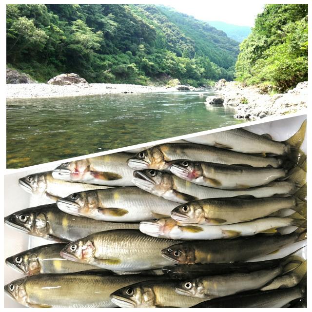 20160815-235952-93111000.jpg (90x90)