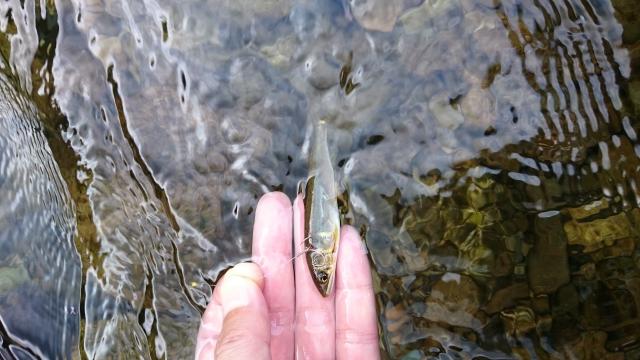 20160820-001528-86176500.jpg (120x68)