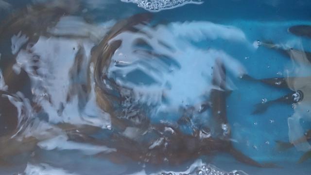 20160821-230407-73338400.jpg (120x68)