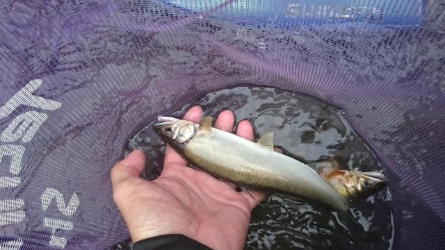 20160903-182912-15798200.jpg (120x68)