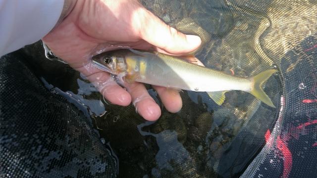 20160911-221623-94767700.jpg (120x68)