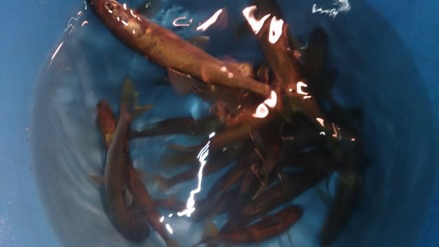 20161008-222248-45309100.jpg (120x68)